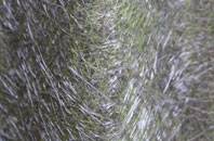 Blacktown fibreglass roof work